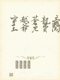 穿越苍龙帝国四王爷免费阅读