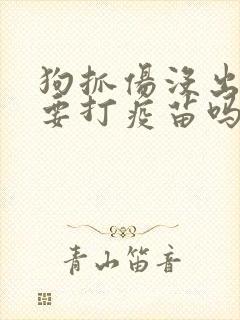狗抓伤没出血需要打疫苗吗