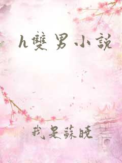 h双男小说
