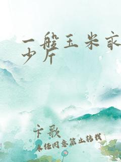 一般玉米亩产多少斤