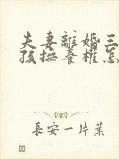 夫妻离婚三个小孩抚养权怎么判