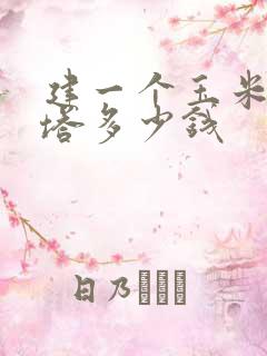 建一个玉米烘干塔多少钱