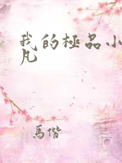 我的极品小姨叶凡
