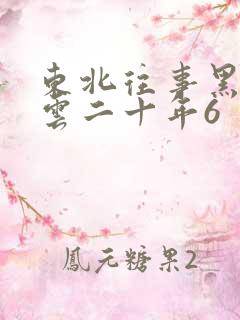 东北往事黑道风云二十年6