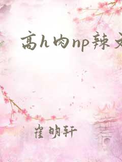 高h肉np辣文