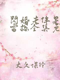 闪婚老伴是豪门雷总全集免费