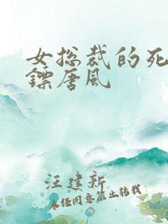 女总裁的死神保镖唐风