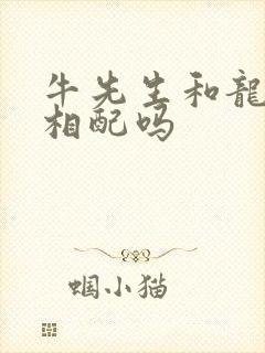 牛先生和龙女士相配吗 牛先生和龙女士相配吗