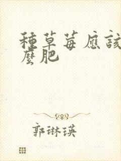 种草莓应该施什么肥 种草莓应该施什么肥