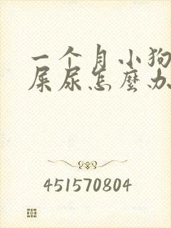 一个月小狗乱拉屎尿怎么办
