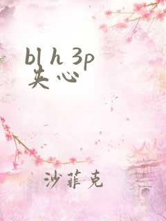 bl h 3p夹心