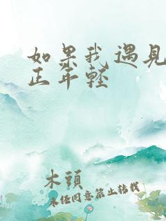 如果我遇见你时正年轻