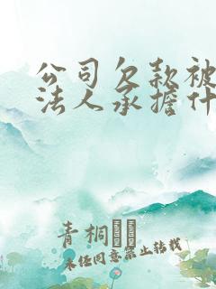 公司欠款被起诉法人承担什么后果