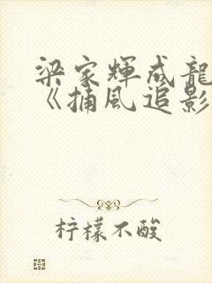 梁家辉成龙新片《捕风追影》在线观看