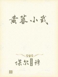 黄蓉小武