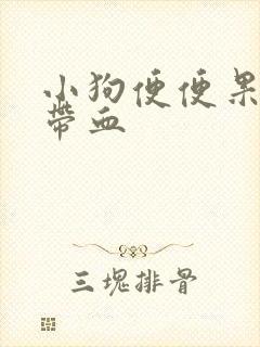 小狗便便果冻状带血
