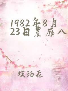 1982年8月23日农历八字