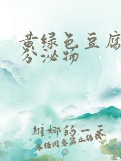 黄绿色豆腐渣样分泌物