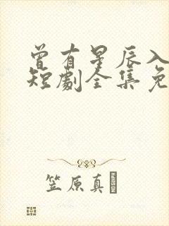 曾有星辰入我梦短剧全集免费观看