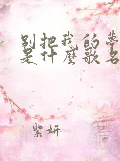 别把我的梦带走是什么歌名
