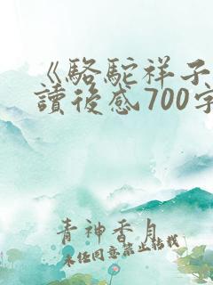 《骆驼祥子》的读后感700字
