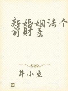 新婚姻法个人婚前财产
