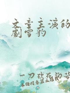 文章主演的电视剧雪豹
