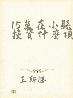 15万在小县城投资什么项目好