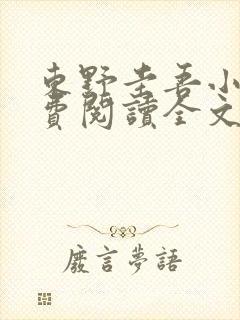 东野圭吾小说免费阅读全文