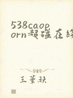 538caoporn超碰在线播放
