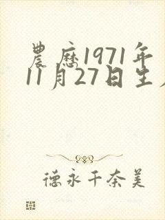 农历1971年11月27日生辰八字是