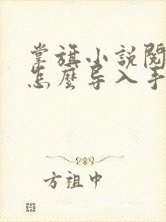 掌旗小说阅读器怎么导入手表