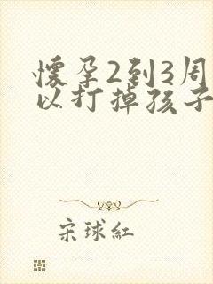 怀孕2到3周可以打掉孩子吗