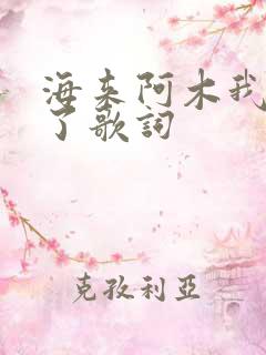 海来阿木我想你了歌词