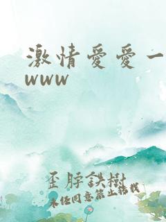 激情爱爱一级片www