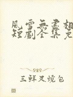 风雪无尽相思情短剧全集免费版