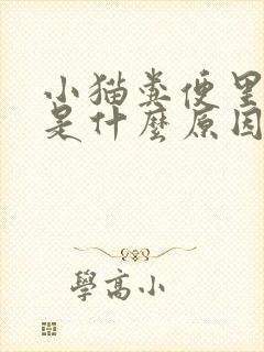 小猫粪便里带血是什么原因