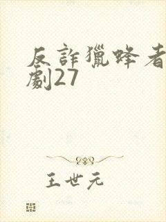 反诈猎蜂者电视剧27