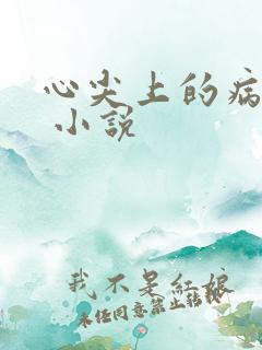 心尖上的病美人 小说