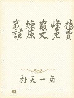 武炼巅峰杨开小说原文免费阅读