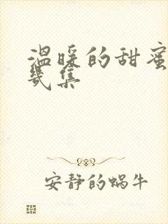 温暖的甜蜜的共几集