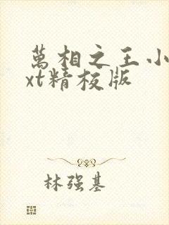 万相之王小说txt精校版