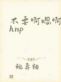 不要啊嗯啊啊啊hnp