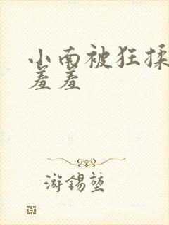 小南被狂揉下部羞羞