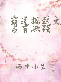 霸道总裁文男主占有欲强
