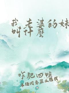 我老婆的妹妹我叫什么