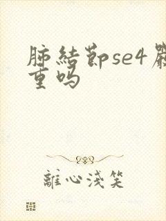 肺结节se4严重吗