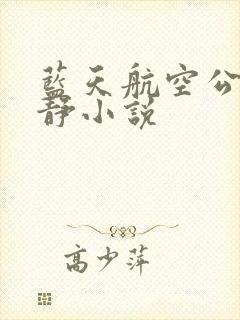 蓝天航空公司王静小说