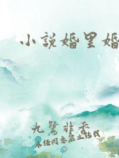 小说婚里婚外