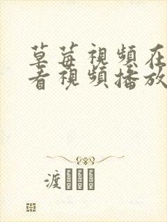 草莓视频在线观看视频播放